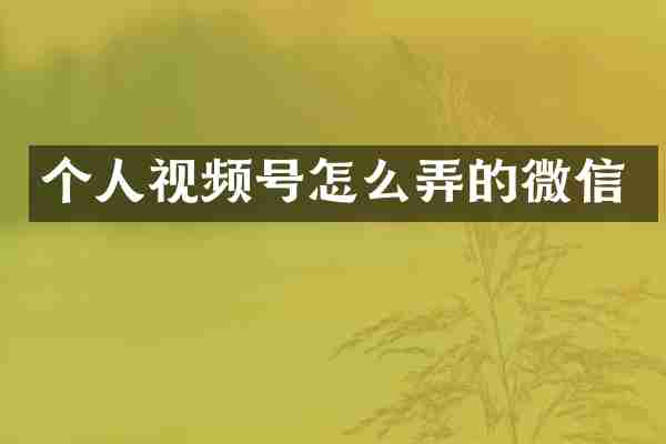 个人视频号怎么弄的微信