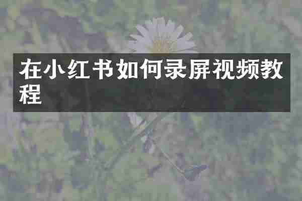 在小红书如何录屏视频教程