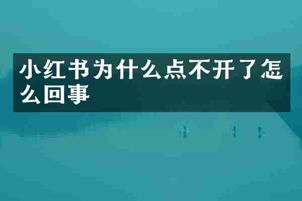 小红书为什么点不开了怎么回事