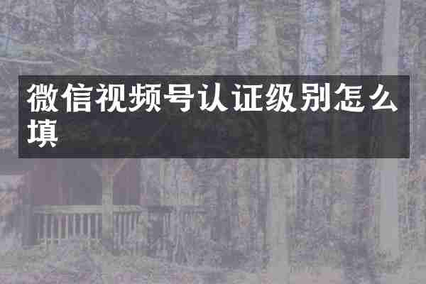 微信视频号认证级别怎么填