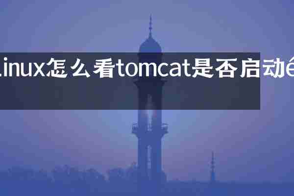 linux怎么看tomcat是否启动项