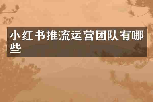 小红书推流运营团队有哪些