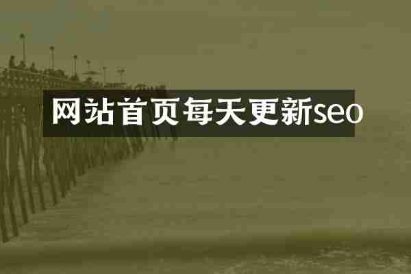 网站首页每天更新seo