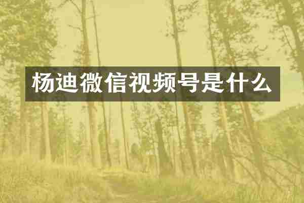 杨迪微信视频号是什么