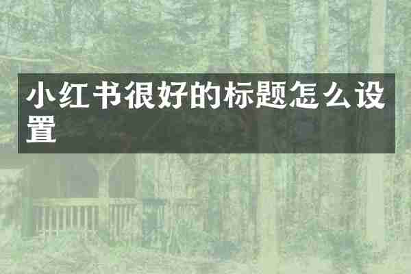 小红书很好的标题怎么设置