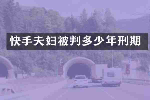 快手夫妇被判多少年刑期