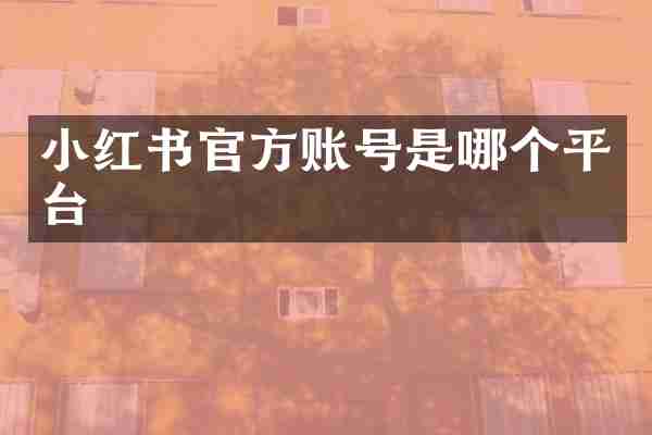 小红书官方账号是哪个平台