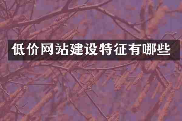 低价网站建设特征有哪些