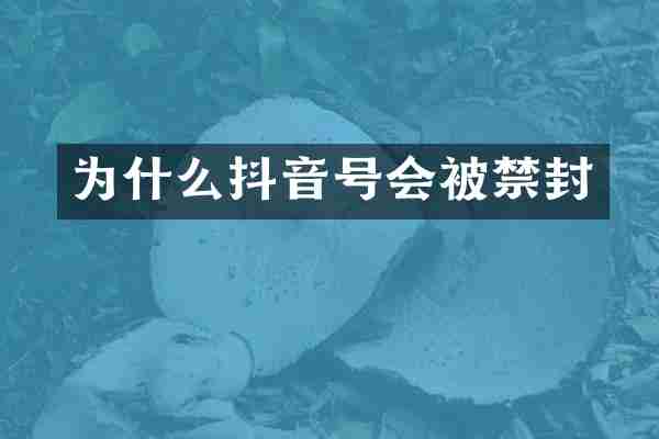 为什么抖音号会被禁封