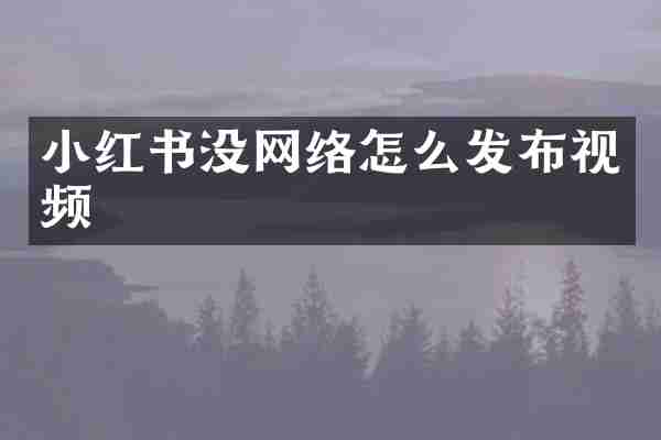 小红书没网络怎么发布视频