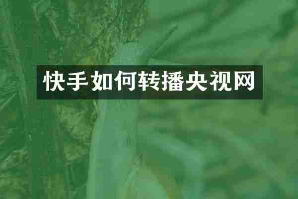 快手如何转播央视网