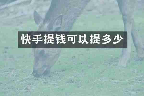 快手提钱可以提多少