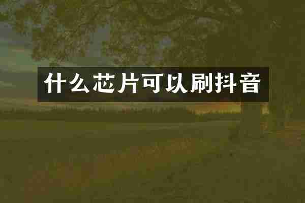 什么芯片可以刷抖音