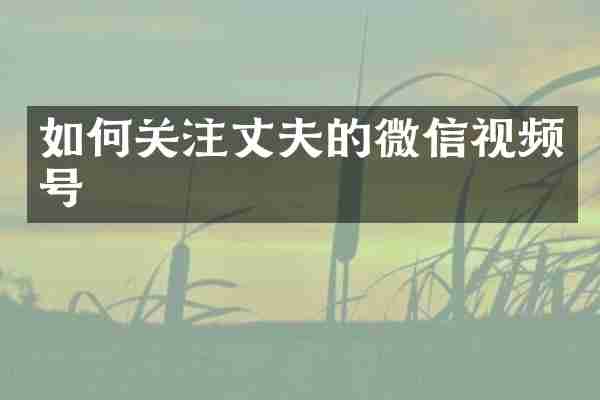 如何关注丈夫的微信视频号
