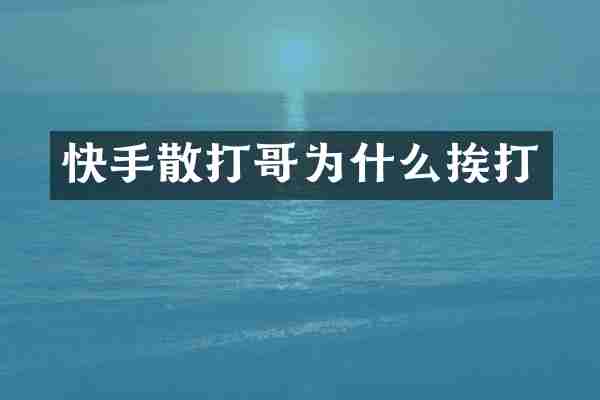 快手散打哥为什么挨打