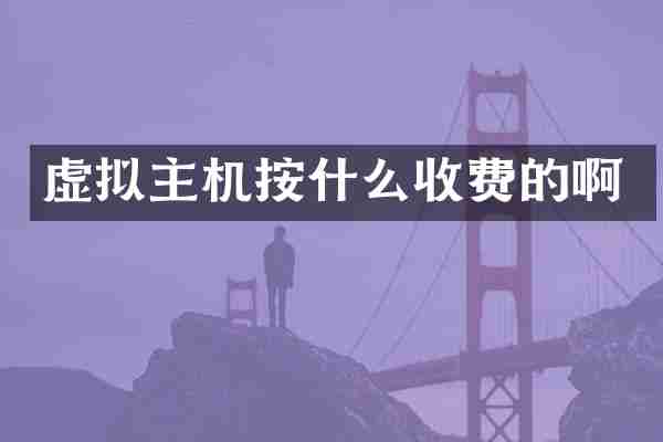 虚拟主机按什么收费的啊
