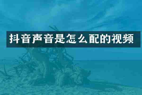 抖音声音是怎么配的视频