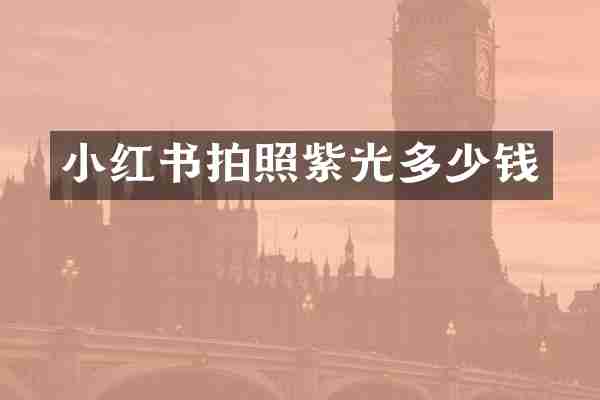 小红书拍照紫光多少钱