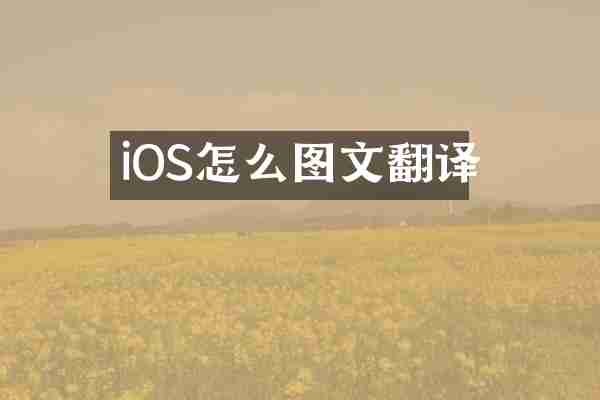 iOS怎么图文翻译