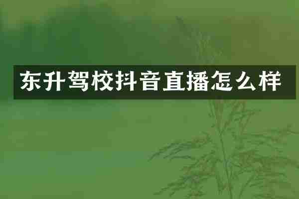 东升驾校抖音直播怎么样