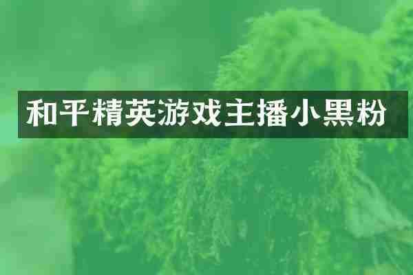 和平精英游戏主播小黑粉