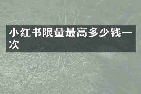 小红书限量最高多少钱一次