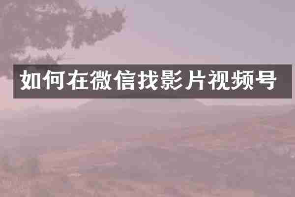 如何在微信找影片视频号