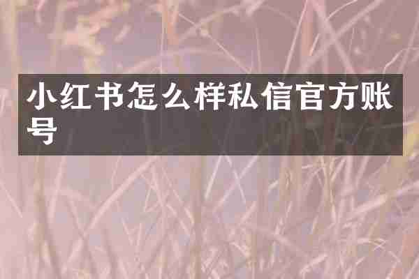 小红书怎么样私信官方账号