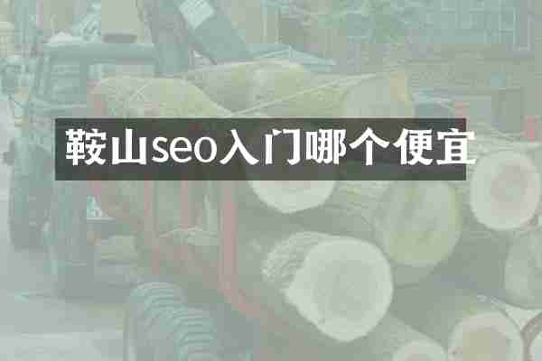 鞍山seo入门哪个便宜