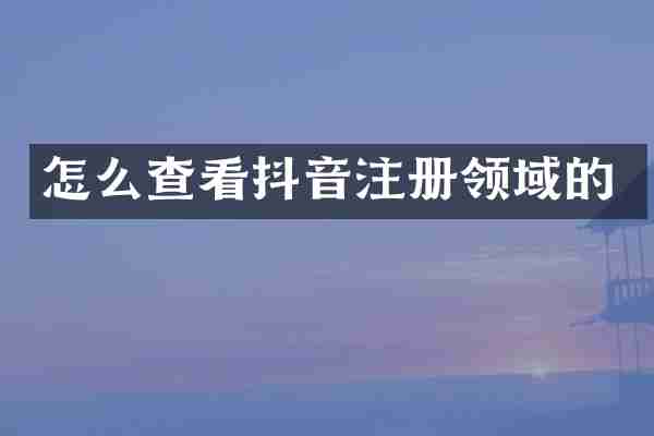 怎么查看抖音注册领域的