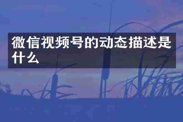 微信视频号的动态描述是什么