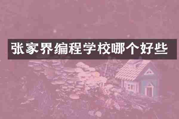 张家界编程学校哪个好些
