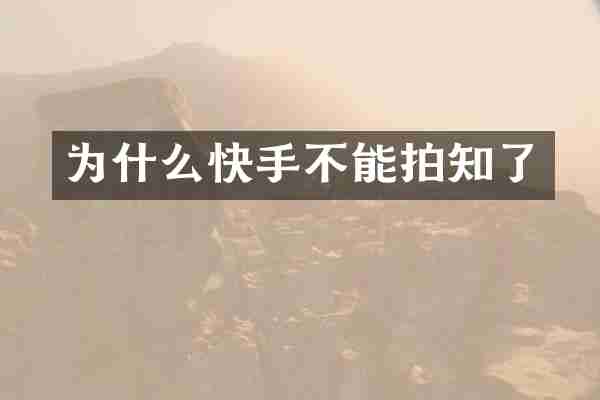 为什么快手不能拍知了
