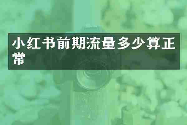 小红书前期流量多少算正常