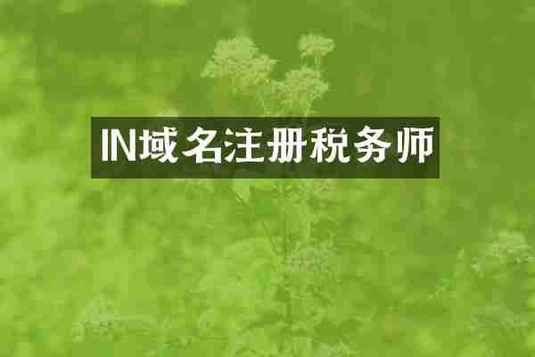IN域名注册税务师