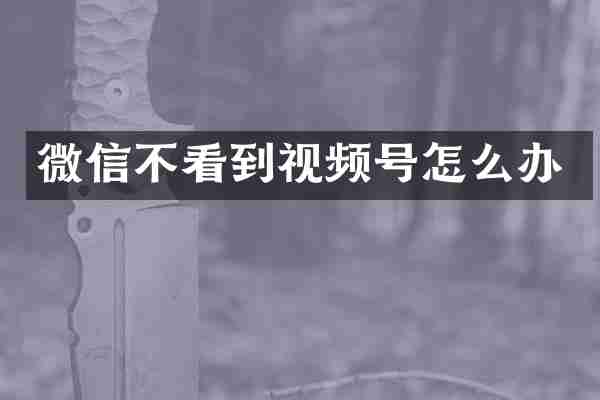 微信不看到视频号怎么办