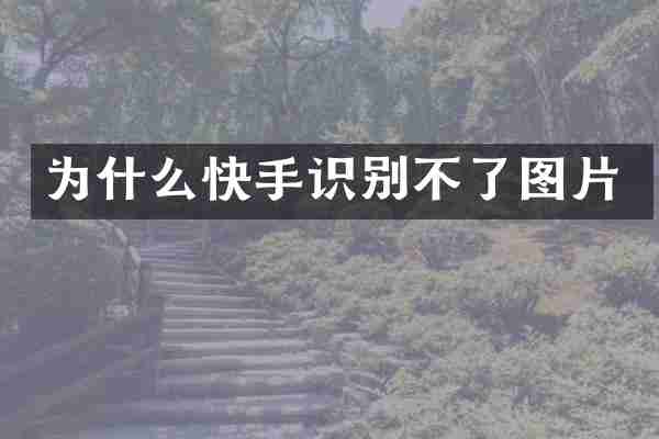 为什么快手识别不了图片