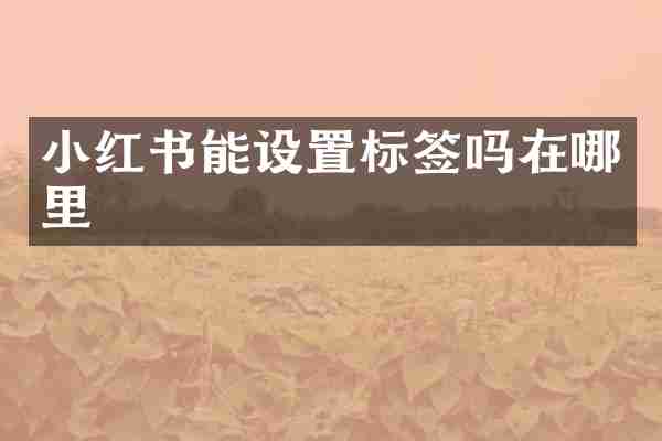 小红书能设置标签吗在哪里