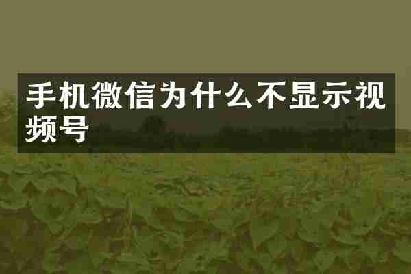 手机微信为什么不显示视频号