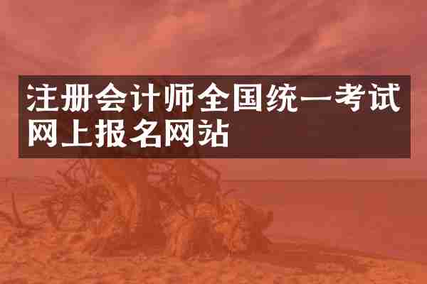 注册会计师全国统一考试网上报名网站
