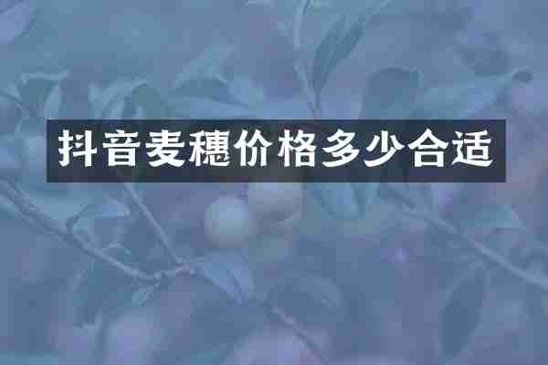 抖音麦穗价格多少合适