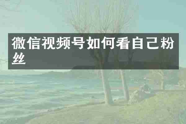 微信视频号如何看自己粉丝