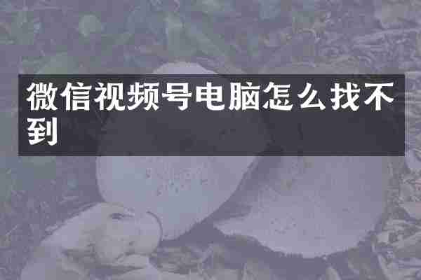 微信视频号电脑怎么找不到