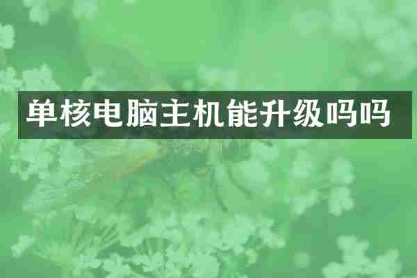 单核电脑主机能升级吗吗