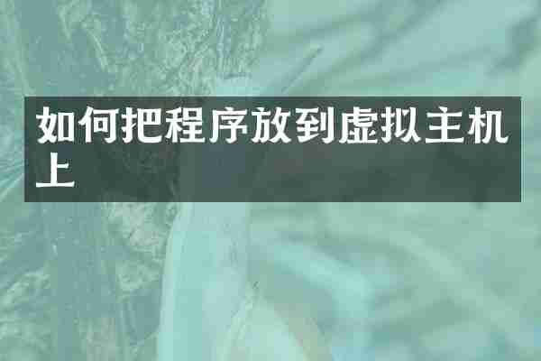 如何把程序放到虚拟主机上