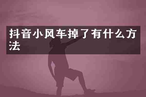 抖音小风车掉了有什么方法