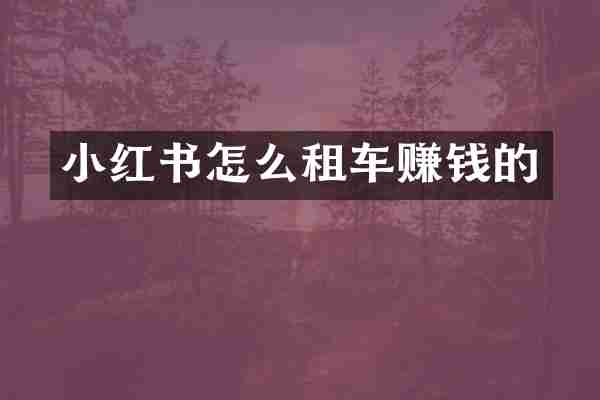 小红书怎么租车赚钱的