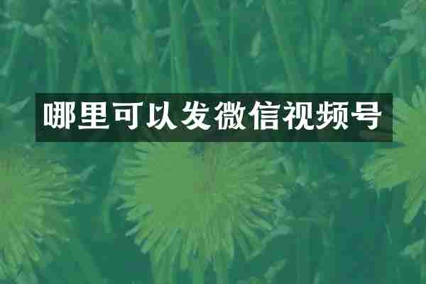 哪里可以发微信视频号