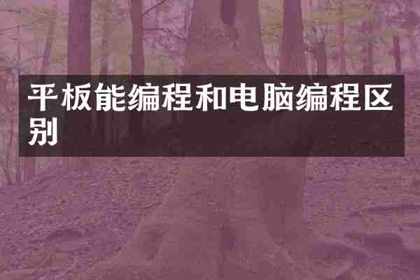 平板能编程和电脑编程区别
