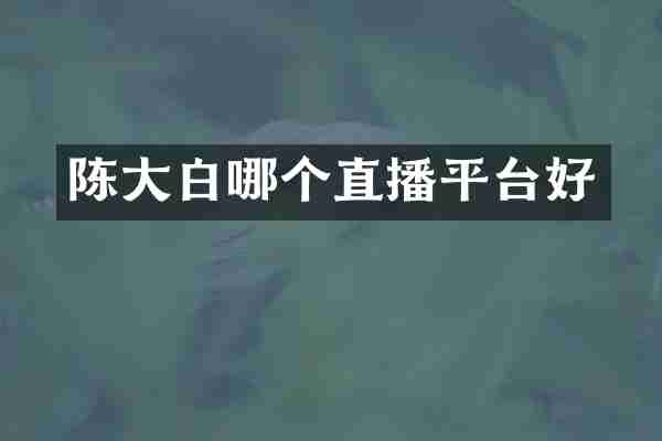 陈大白哪个直播平台好